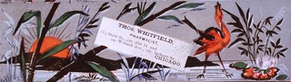 Thos. Whitfield, Pharmacist