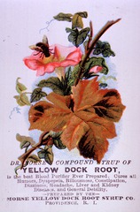 Dr. Morse's Compound Syrup of Yellow Dock Root