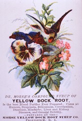 Dr. Morse's Compound Syrup of Yellow Dock Root