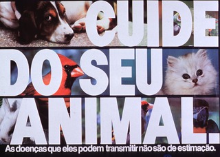 Cuide do seu animal