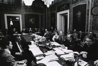 [Dr. Fredrickson at a subcommittee hearing]