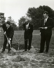 [John B. Blake taking his turn at planting the "Tree of Hippocrates"]