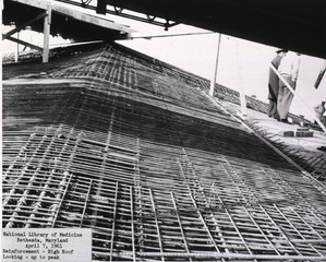 [NLM- Construction: Roof reinforcement]