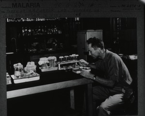 A malaria research worker in the laboratory