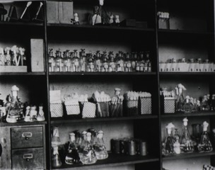 [Shelves of cultures of various germs used in bacteriological research]