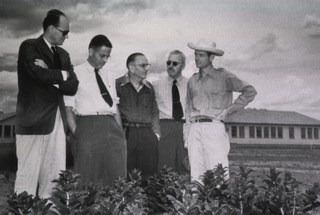 [Thomas Parran and four other men examine crops in a field in Mexico]