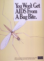 You won't get AIDS from a bug bite