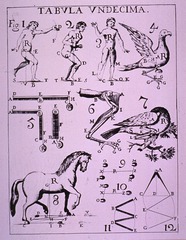 [The physiology of man and animals]