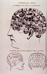 Symbolical Head: In Which Each Organ Is Illustrated