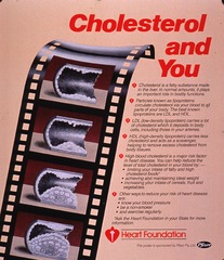 Cholesterol and you