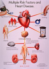 Multiple risk factors and heart disease