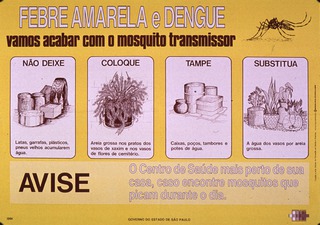 Febre amarela e dengue: vamos acabar com o mosquito transmissor