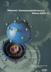 Human immunodeficiency virus HIV-1