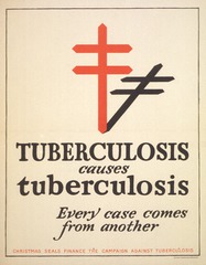 Tuberculosis causes tuberculosis