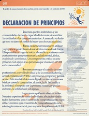 Declaracion de principios