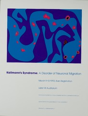 Kallmann's Syndrome: a disorder of neuronal migration
