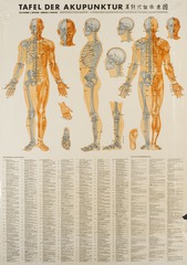 Tafel der akupunktur