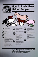 How animals have helped people