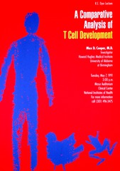 A comparative analysis of T cell development