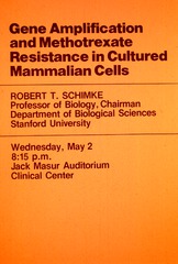 Gene amplification and methotrexate resistance in cultured mammalian cells
