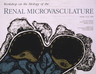 Workshop on the Biology of Renal Microvasculature