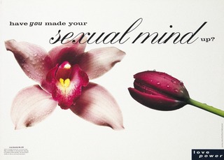 Have you made your sexual mind up?