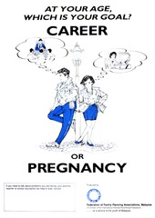 At your age, which is your goal?: career or pregnancy
