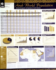 Arab world population: selected demographic and reproductive health indicators