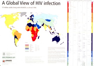 A global view of HIV infection