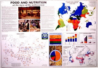 Food and nutrition at the turn of the millennium