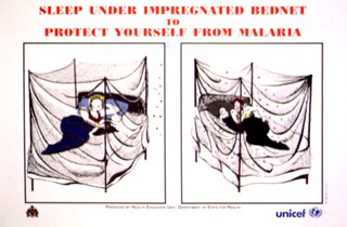 Sleep under impregnated bednet to protect yourself from malaria