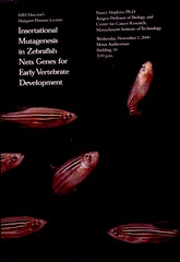 Insertational mutagenesis in zebrafish nets genes for early vertebrate development