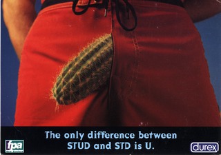 The only difference between stud and std is u