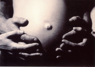 The art & science of life in the womb