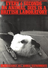 Every 6 seconds an animal dies in a British laboratory