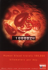 Human blood travels 100,000 kilometers per day