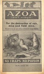 Azoa (rat virus)