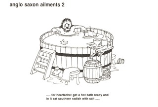 Anglo saxon ailments 2