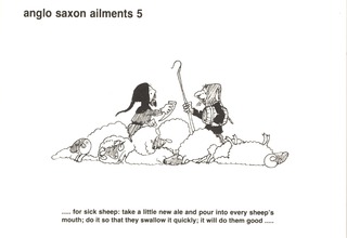 Anglo saxon ailments 5