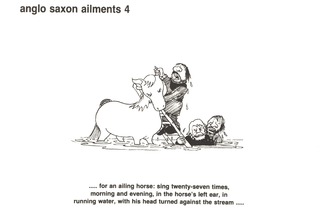 Anglo saxon ailments 4