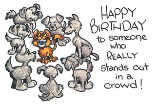 Happy birthday to someone who really stands out in a crowd
