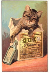 Eclectric oil