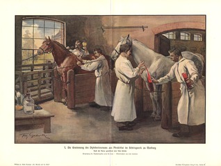 Die Gewinnung des Diphtherieserums aus Pferdeblut im Behringwerk zu Marburg