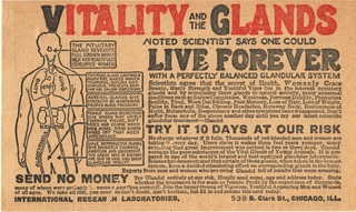 Vitality and the glands