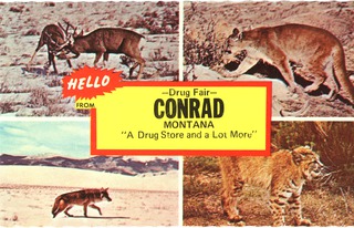 Hello from Conrad, Montana, a drug store and a lot more