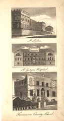 St. Luke's ; St. George's Hospital ; Freemason's Charity School
