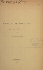Study of the normal tibia