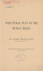 Structural plan of the human brain