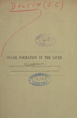 Sugar formation in the liver
