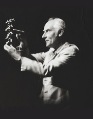Detail from composite photograph of Francis Crick lecturing